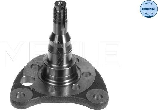 Meyle 100 501 0011 - Steering Knuckle, wheel suspension parts5.com