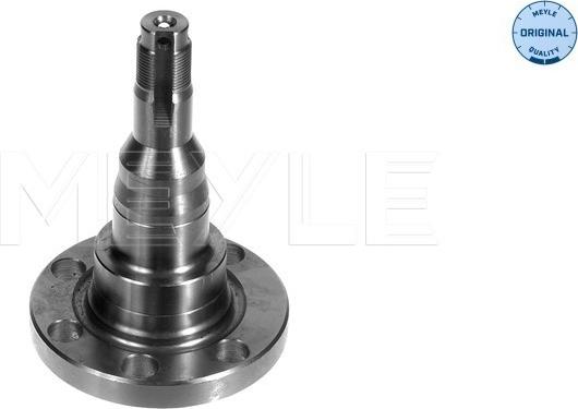 Meyle 100 501 1010 - Steering Knuckle, wheel suspension parts5.com