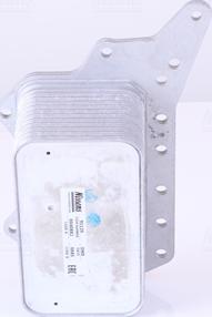 Nissens 91125 - Õliradiaator,mootoriõli www.parts5.com