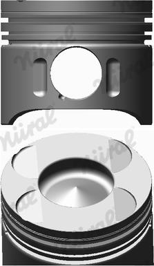 Nüral 87-117900-00 - Piston www.parts5.com