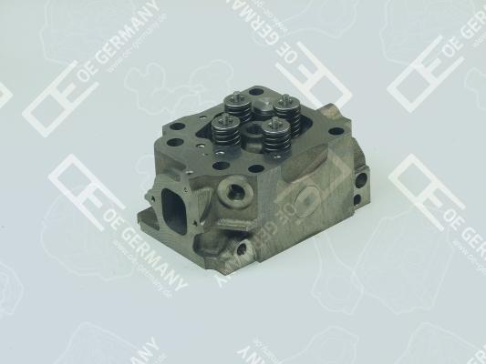 OE Germany 01 0129 501003 - Cylinder Head www.parts5.com