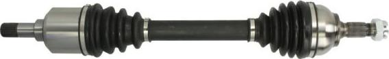 Pascal G2C146PC - Drive Shaft parts5.com