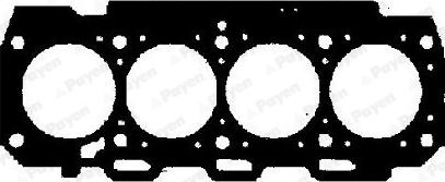 Payen AA5571 - Tesnenie hlavy valcov parts5.com