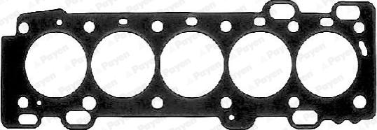 Payen AB5441 - Gasket, cylinder head www.parts5.com