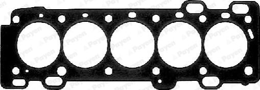 Payen AB5451 - Tesnilo, glava valja (motorja) www.parts5.com