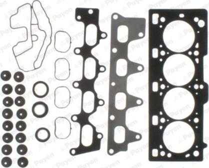 Payen CC5110 - Garnitura zaptivnih elemenata, glava cilindra www.parts5.com