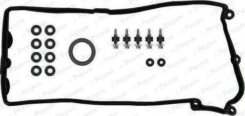 Payen HM5296 - Set garnituri, Capac supape www.parts5.com