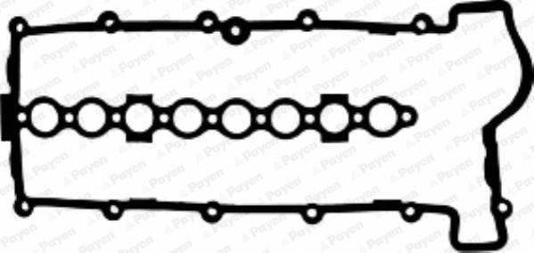 Payen JM5167 - Garnitura, capac supape www.parts5.com