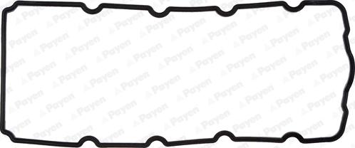 Payen JM5119 - Garnitura, capac supape www.parts5.com