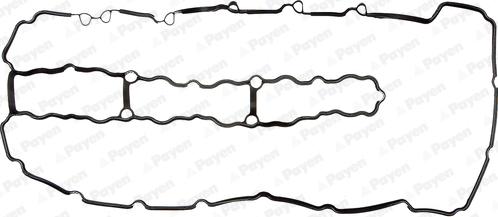 Payen JM7098 - Garnitura, capac supape www.parts5.com