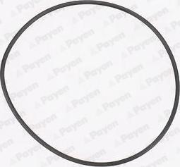 Payen KA845 - Gasket, water pump www.parts5.com