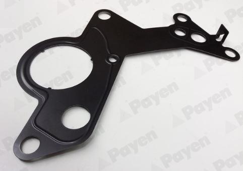 Payen KK5746 - Tesnilo, crpalka za gorivo www.parts5.com