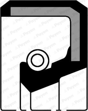 Payen NA584 - Shaft Seal, crankshaft www.parts5.com