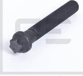 PE Automotive 036.128-00A - Vijak, Zavorni kolut www.parts5.com