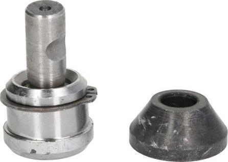 REINHOCH RH03-6007 - Ball Joint www.parts5.com