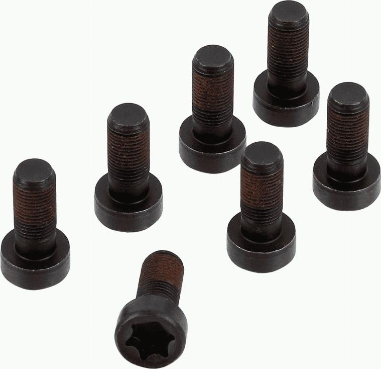 SACHS 1874 000 083 - Screw Set, flywheel www.parts5.com