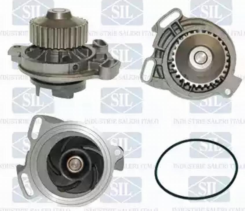 SALERI PA619P - Water Pump www.parts5.com