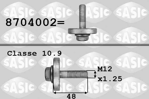 Sasic 8704002 - Surub fulie www.parts5.com