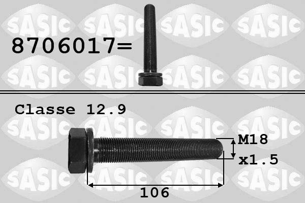 Sasic 8706017 - Surub fulie www.parts5.com