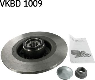 SKF VKBD 1009 - Тормозной диск www.parts5.com