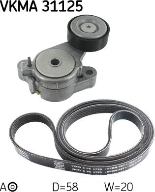 SKF VKMA 31125 - Garnitura klinastog rebrastog kaiša www.parts5.com