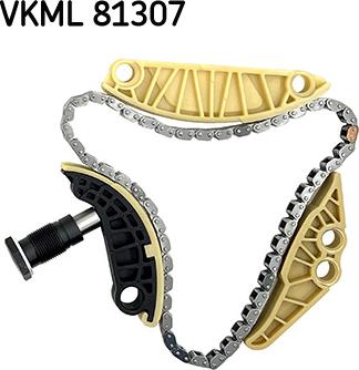 SKF VKML 81307 - Timing Chain Kit parts5.com