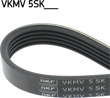 SKF VKMV 5SK705 - Ozubený klínový řemen www.parts5.com