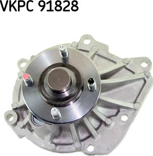 SKF VKPC 91828 - Pompa apa www.parts5.com