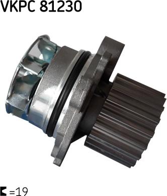 SKF VKPC 81230 - Водна помпа www.parts5.com