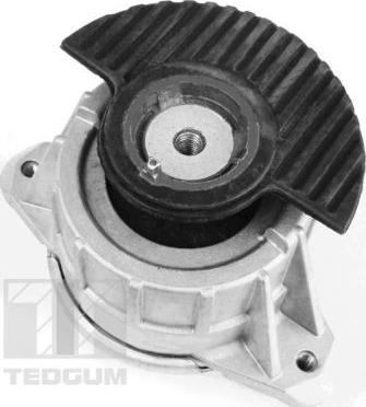 Tedgum 00418476 - Zavěšení motoru www.parts5.com