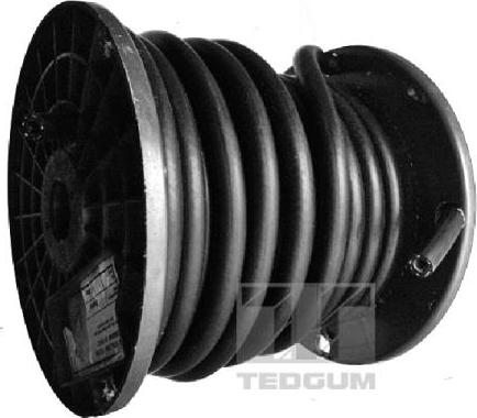 Tedgum 00814524 - Fuel Hose www.parts5.com