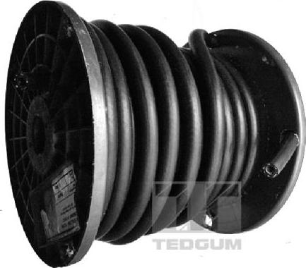 Tedgum 00816680 - Fuel Hose www.parts5.com