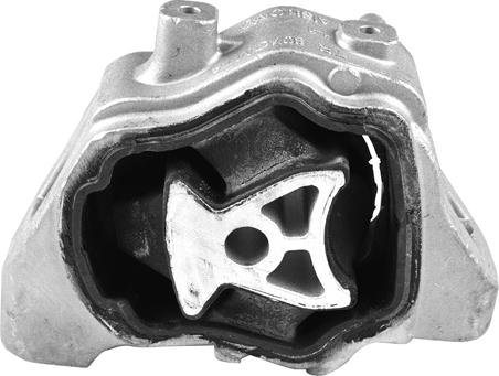 Tedgum TED46974 - Zavěšení motoru www.parts5.com