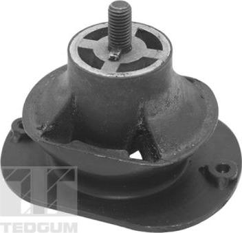 Tedgum TED40521 - Vlezajenje, motor www.parts5.com