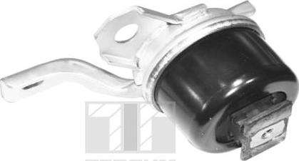 Tedgum TED40730 - Zavěšení motoru www.parts5.com