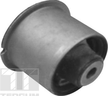 Tedgum TED11075 - Suspensión, cuerpo del eje www.parts5.com