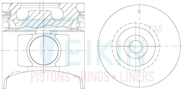 Teikin 39671AGSTD - Piston www.parts5.com