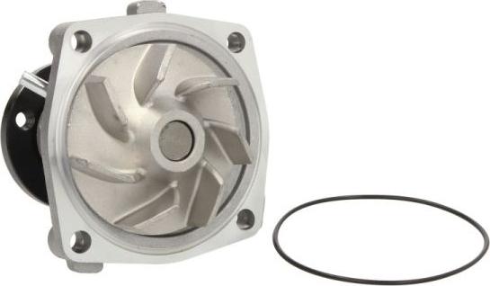 Thermotec D1G042TT - Bomba de agua www.parts5.com