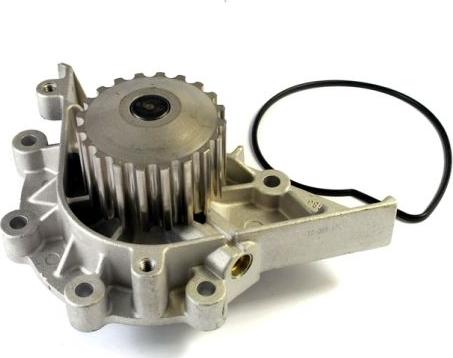 Thermotec D1P040TT - Water Pump www.parts5.com