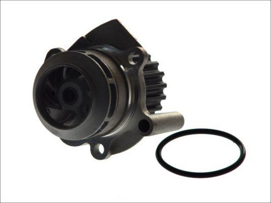 Thermotec D1W039TT - Water Pump www.parts5.com