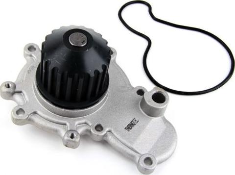 Thermotec D1Y002TT - Water Pump www.parts5.com