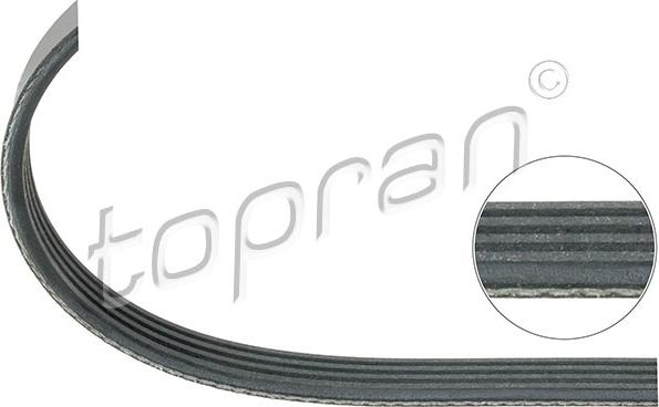 Topran 500 683 - Curea transmisie cu caneluri www.parts5.com