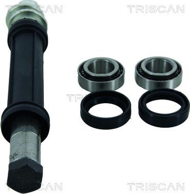 Triscan 8500 38400 - Suspension Kit www.parts5.com