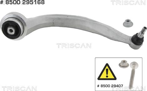 Triscan 8500 295168 - Õõtshoob, käändmik www.parts5.com