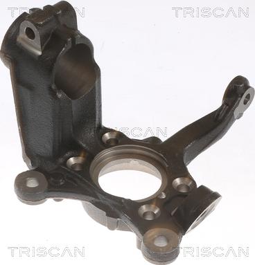 Triscan 8500 29712 - Muñón del eje, suspensión de rueda www.parts5.com