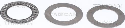 Triscan 8500 24925 - Rulment sarcina suport arc www.parts5.com