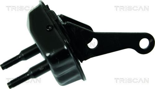 Triscan 8500 28534 - Lezajni podstavek, telo osi www.parts5.com