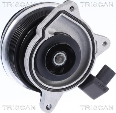 Triscan 8600 29062 - Water Pump www.parts5.com