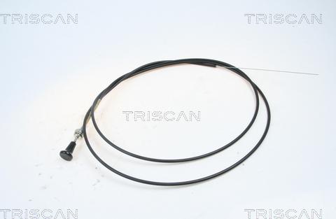 Triscan 8140 91003 - Choke Shaft, carburettor www.parts5.com