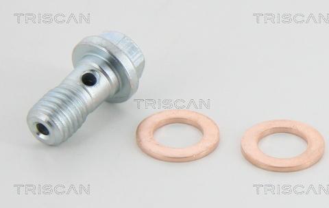 Triscan 8150 29143 - Brake Hose www.parts5.com